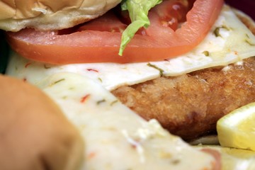 Breaded fish sandwich on a bun