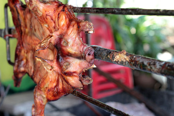 Barbecued suckling pig - roasted pig