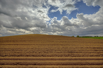 open farmland after seed potatoes are planted
