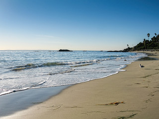 Laguna Beach