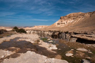 Fototapeta na wymiar Water spring in a desert