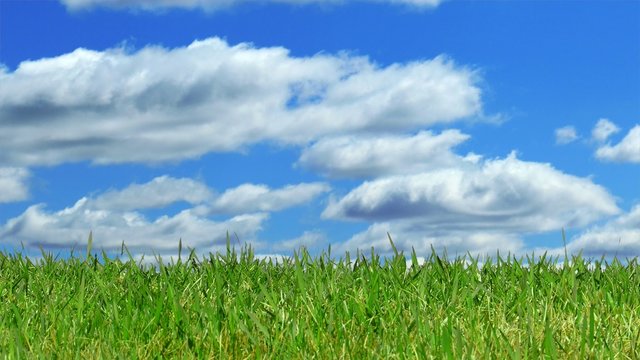 Green Grass with Time Lapse Sky, Panning Right to Left