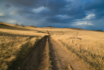 Fototapeta premium Expensive passing across the steppe