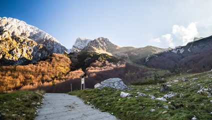 Autumn morning in the alps