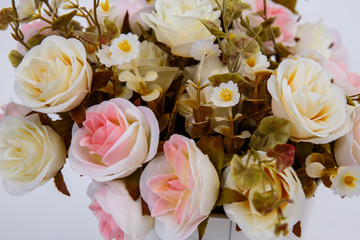 flowers in white pots on white background