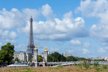 Fototapeta na wymiar Paris - Eiffel tower and Alexandre III bridge