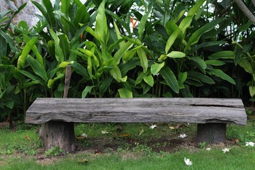 Fototapeta premium Vintage bench chair at the nature