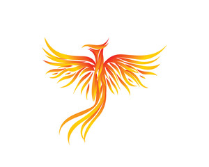 Phoenix Fire Rising