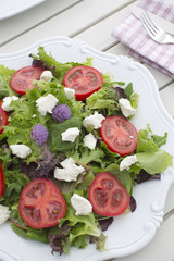 Pflücksalat