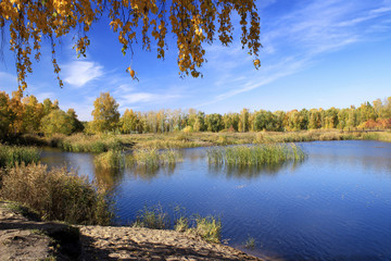 Autumn landscape - gold birch near pond