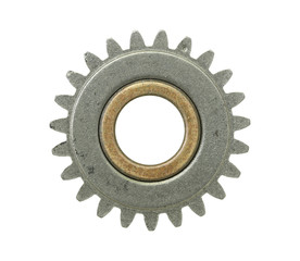 Gear wheel isolated on white background