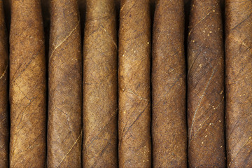 cigars  