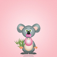 baby koala