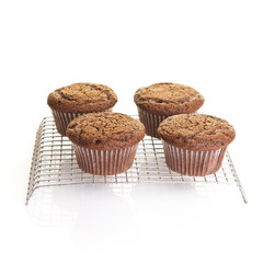 Schoko Muffin