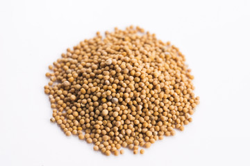 Yellow mustard seeds isolated