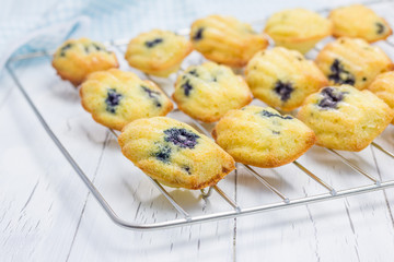 Madeleines with blueberries on a cooling rack