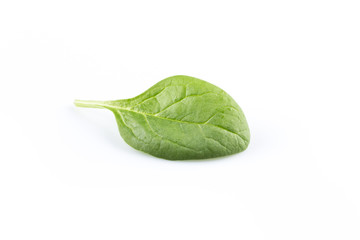 Green spinach on a white background