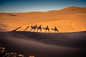 Crédence de cuisine en verre imprimé Sécheresse Long shadows of camel caravan in the desert