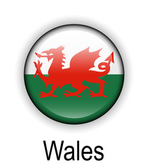 wales official state flag