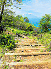 Fototapeta na wymiar 丹沢檜洞丸から見える富士山と木道