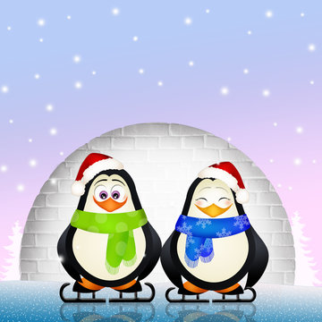 funny penguins
