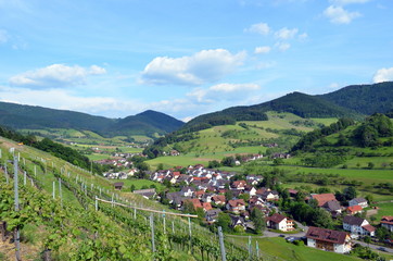 Glottertal im Schwarzwald
