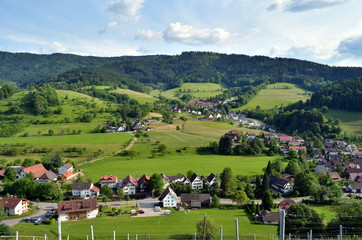 Fototapeta na wymiar Glottertal im Schwarzwald