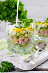Russian spring and summer cold soup  with kefir