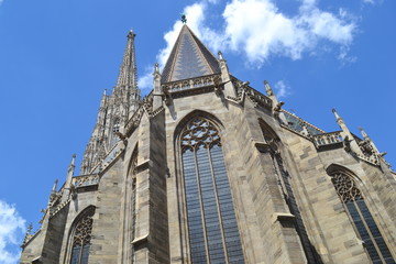 Fototapeta na wymiar Cathedral in Vienna