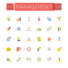 Vector Flat Management Icons