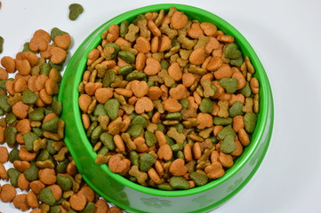 dog food in green bowl