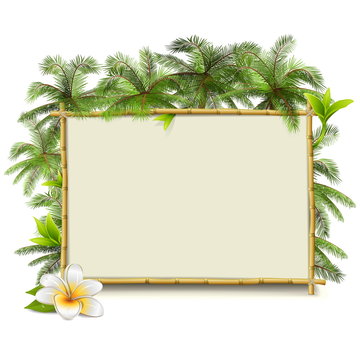 Vector Bamboo Frame with Palm