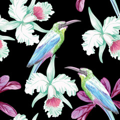 birds and orchids watercolor seamless background