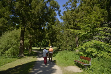 Promenade dans la nature luxuriante du parc Solvay 