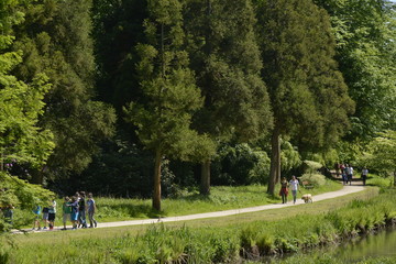 Promenade sous les arbres majestueux du parc Solvay 