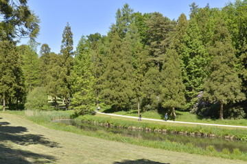 Le bout de l'étang de la Longue Queue au parc Solvay 