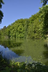 Fototapeta na wymiar L'étang de la Grande Queue dans sa splendeur au parc Solvay