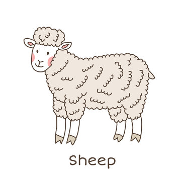Funny cartoon sheep, children illustration