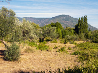 Pico Guisando en la Sierra de Gredos. Ávila