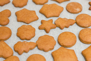 Fresh Baked Gingerbread Cookies