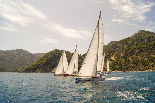 three white sails in a row