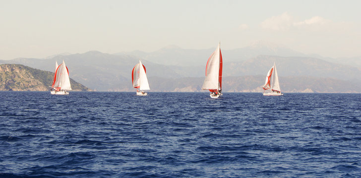 red and white sails on the blue water
