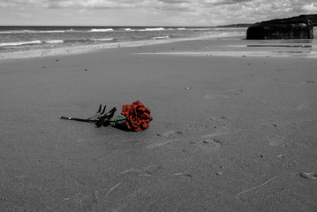 Omaha beach.Massacro a cielo aperto