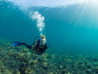 Scuba diver on coral reef