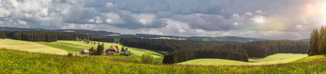 Schwarzwald Panorama - obrazy, fototapety, plakaty
