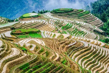 Foto op Canvas Chinese Rice Terraces © SeanPavonePhoto