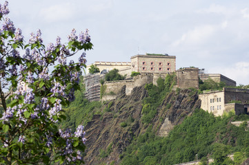 Fototapeta na wymiar Festung Ehrenbreitstein in Koblenz, Deutschland