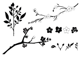 Cherry branch set isolated on white silhouettes