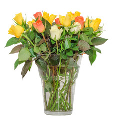 Vibrant colored roses flowers, transparent vase