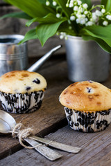 blueberry muffins in paper cupcake holder
